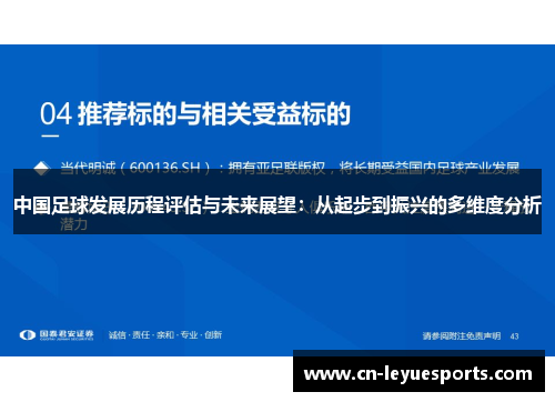 中国足球发展历程评估与未来展望：从起步到振兴的多维度分析