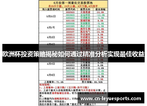 欧洲杯投资策略揭秘如何通过精准分析实现最佳收益